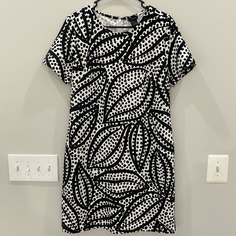 Ann Taylor Dress